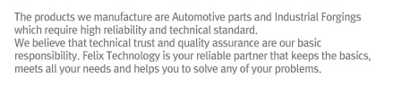 The products we manufacture are Automotive parts and Industrial Forgings which require high reliability and technical standard. 
We believe that technical trust and quality assurance are our basic responsibility. Felix Technology is your reliable partner that keeps the basics, meets all your needs and helps you to solve any of your problems. 
