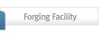 Forging Facility