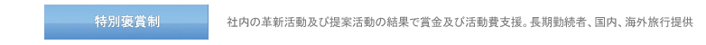 特別褒賞制 : 社内の革新活動及び提案活動の結果で賞金及び活動費支援。長期勤続者、国内、海外旅行提供