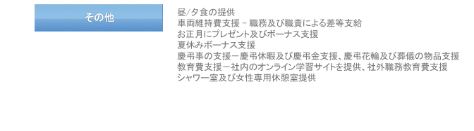 その他 : 昼/夕食の提供, 車両維持費支援 - 職務及び職責による差等支給, お正月にプレゼント及びボーナス支援, 夏休みボーナス支援, 慶弔事の支援－慶弔休暇及び慶弔金支援、慶弔花輪及び葬儀の物品支援, 教育費支援－社内のオンライン学習サイトを提供、社外職務教育費支援、シャワー室及び女性専用休憩室提供